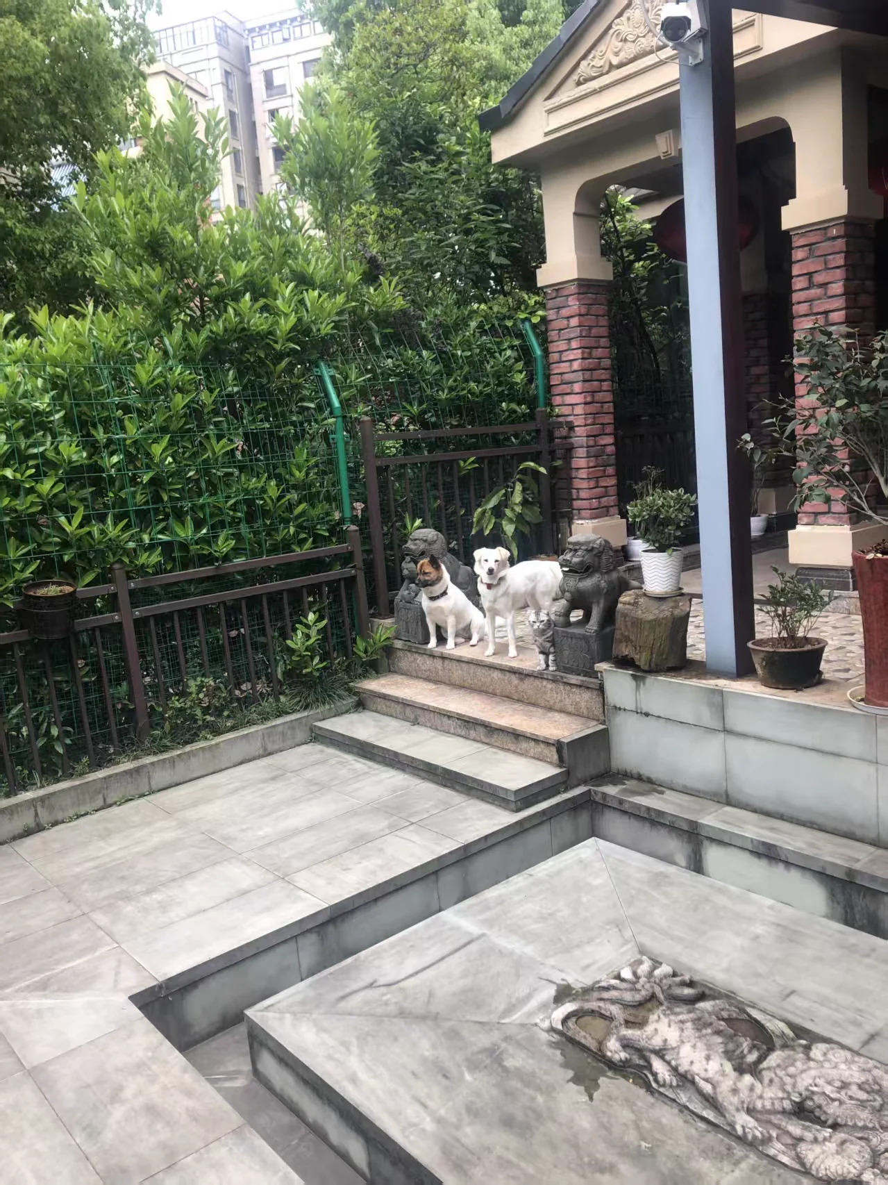 Katy and Tuhao seeing their family off to work at the garden gate in April 2019